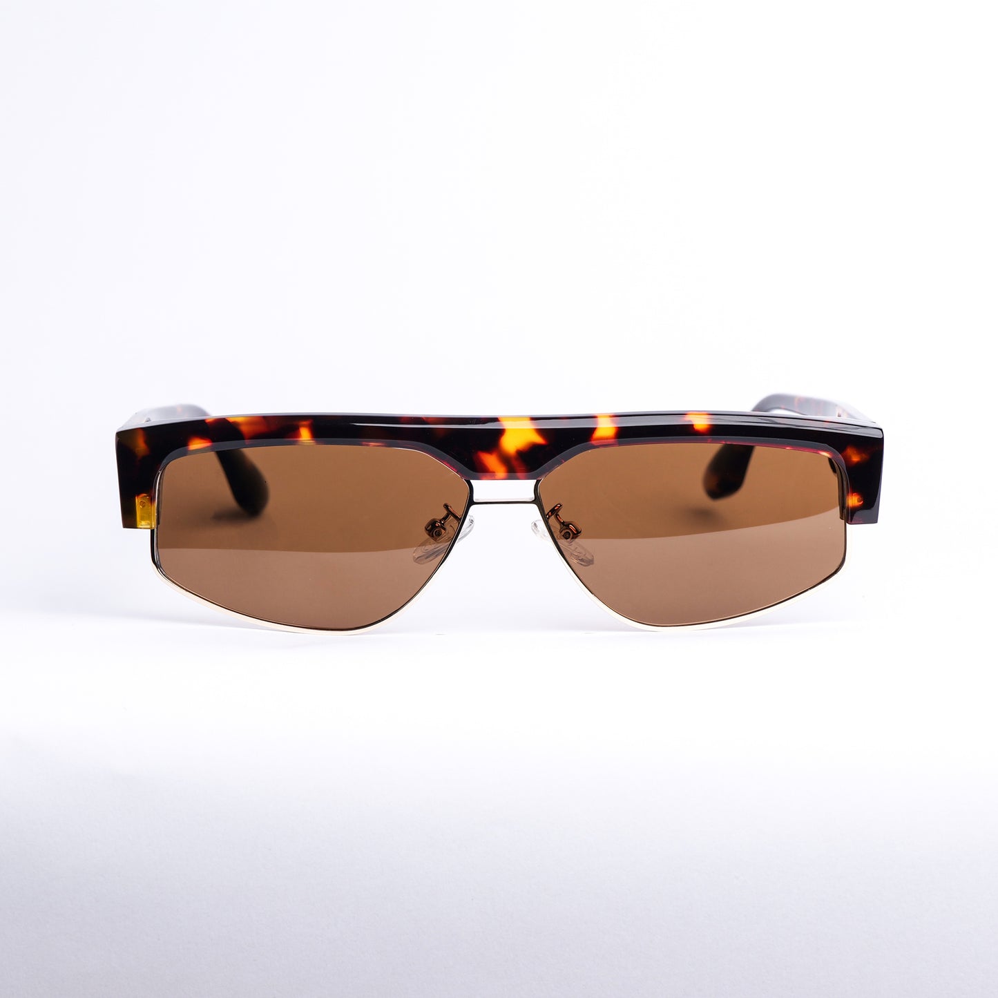 Arc in Brown Tortoise