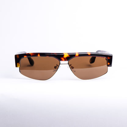 Arc in Brown Tortoise