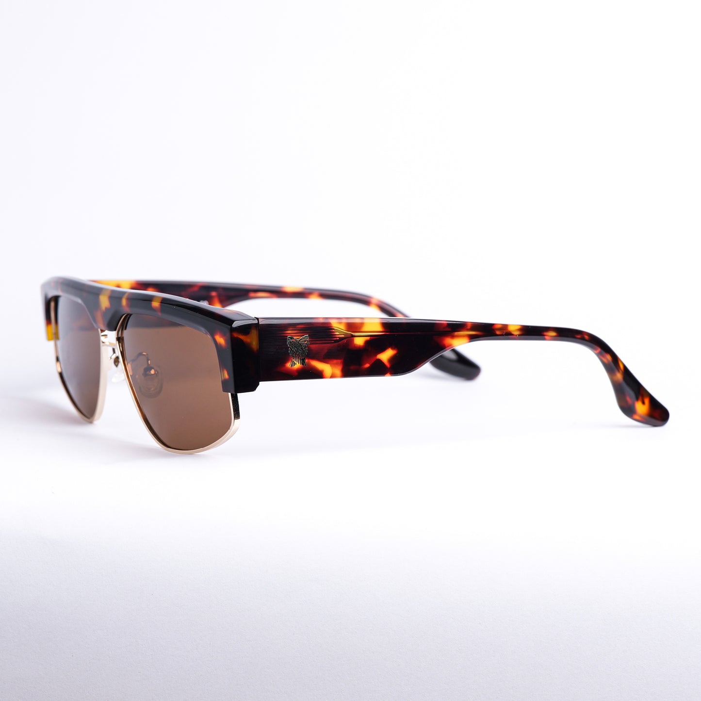 Arc in Brown Tortoise