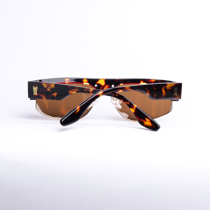Arc in Brown Tortoise